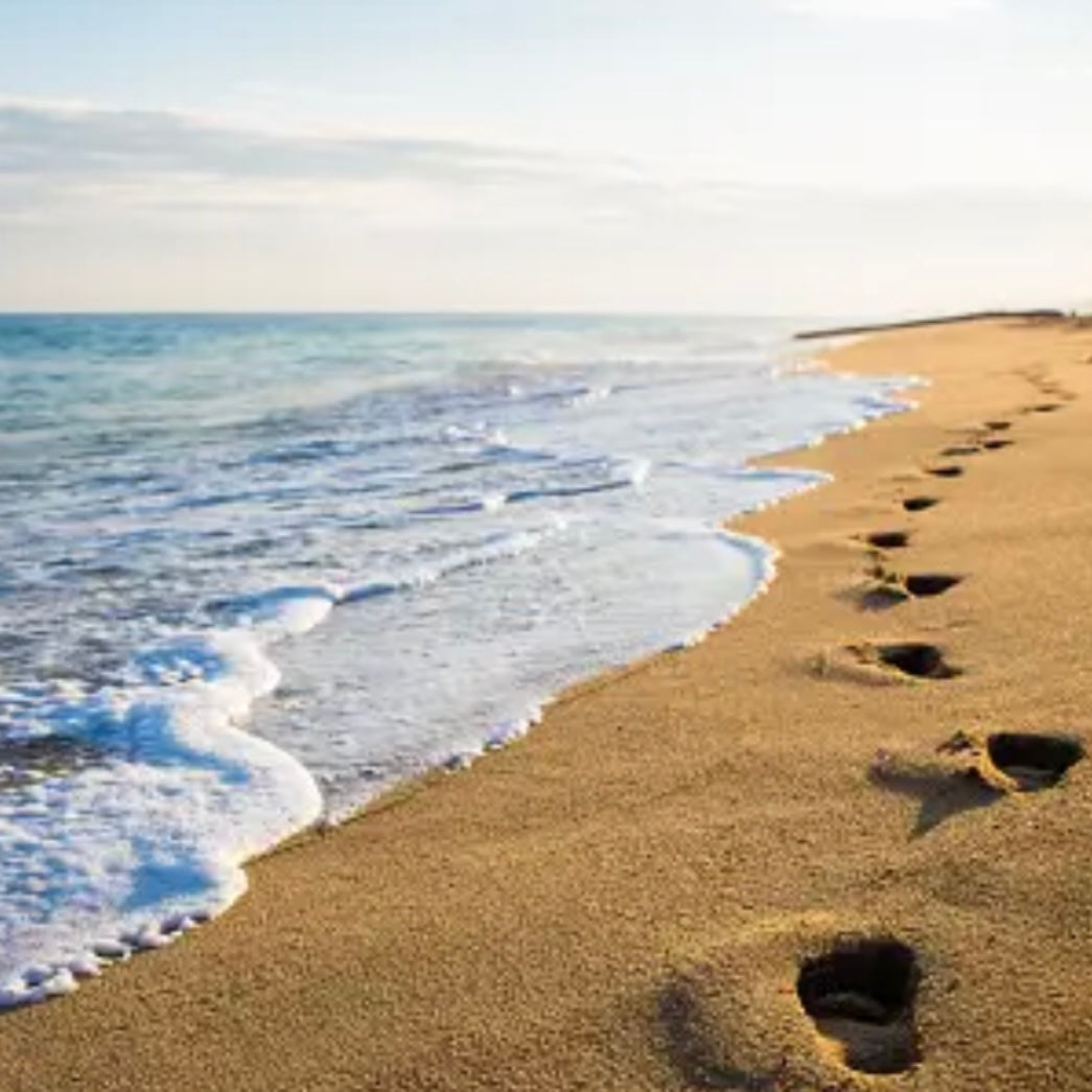 A Walk on the Beach